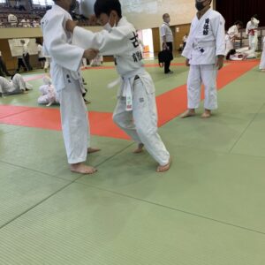 image-12
